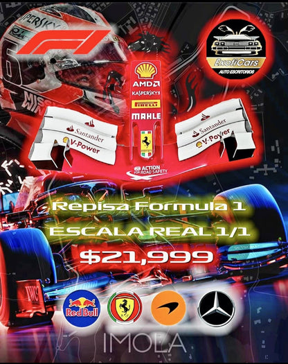 REPISA 3D / ALERON F1